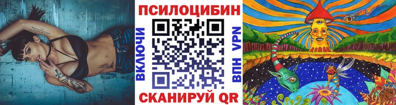 Псилоцибиновые грибы Cubensis  MEGA ONION  Кодинск  цена наркотик 